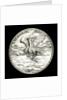 Medal commemorating Count von Spee Count Otto and Count Henry von Spee and the Battle of the Falkland Islands, 1914; reverse by Karl Goetz