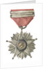 Medal commemorating the Tacna and Arica campaign, 1879-1880; obverse by unknown