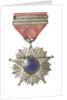 Medal commemorating the Tacna and Arica campaign, 1879-1880; reverse by unknown