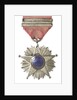 Medal commemorating the Tacna and Arica campaign, 1879-1880; reverse by unknown