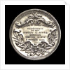 Medal commemorating the dredging and installation of lighted buoys on the rivers La Plata, Parana and Uruguay; reverse by J. Gottuzzo
