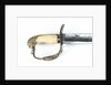 Grenadiers and Light Infantry sword by Woolley & Deakin