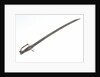 Stirrup hilted Portuguese hanger by unknown