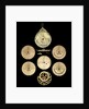 Astrolabe: dismounted reverse by Unknown