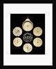 Astrolabe: dismounted obverse by unknown