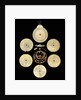 Astrolabe: dismounted reverse by unknown