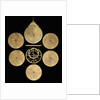 Astrolabe: dismounted reverse by unknown