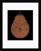 Astrolabe: dismounted reverse by unknown