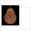 Astrolabe: dismounted obverse by unknown