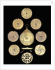 Astrolabe: dismounted reverse by unknown