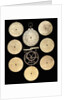 Astrolabe: dismounted reverse by unknown