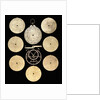 Astrolabe: dismounted reverse by unknown