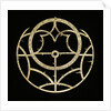 Astrolabe: rete by Jean Naze