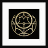 Astrolabe: rete by Jean Naze
