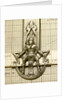 Astrolabe: detail of sater by unknown