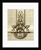 Astrolabe: detail of sater by unknown