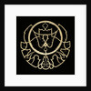 Astrolabe: rete by Adrian Descroli
