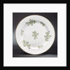 Plate, part of a tea service reputedly belonging to Vice-Admiral Horatio Nelson (1758-1805) by Minton