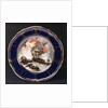 Bone china plate by Spode Ltd.