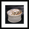 Pomatum pot by unknown