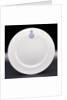 Porcelain plate by Hudson & Middleton Ltd.