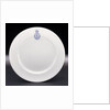 Porcelain plate by Hudson & Middleton Ltd.