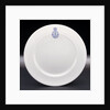 Porcelain plate by Hudson & Middleton Ltd.