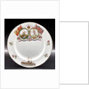 Porcelain plate by John Aynsley & Sons Ltd.