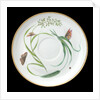 Saucer used on RY 'Alberta' (1863) by Worcester Royal Porcelain Co.