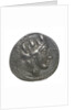 Denarius; obverse by P. Fourius Crassipes