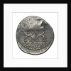 Denarius; reverse by P. Fourius Crassipes