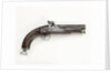Percussion pistol by Royal Small Arms Factory