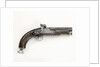 Percussion pistol by Royal Small Arms Factory