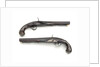 Pistols by T. Carr