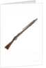 Pattern 1842 rifle-musket by unknown