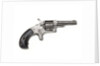 Revolver by F.W. Hood