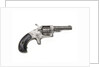 Revolver by F.W. Hood
