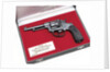 SIG Model 1882 by Waffen Bern and SIG