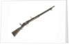 Martini rifle by C. G. Bonehill
