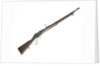 Martini rifle by W.W. Greener