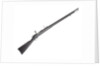 Hotchkiss Model 1878 rifle by Winchester's Repeating Arms