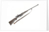 Sporting rifle by Unknown