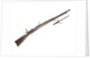 Mauser Model 1893 by unknown