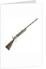 Martini rifle by Birmingham Small Arms Co. Ltd.