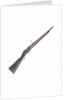 Martini-Enfield Pattern 1876 by Royal Small Arms Factory