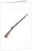Snider Enfield rifle by Royal Small Arms Factory