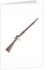 Snider Enfield rifle by Royal Small Arms Factory