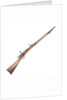 Hotchkiss Model 1878 rifle by Winchester's Repeating Arms