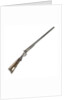 Double barrelled shotgun owned by the Sultan of Witu by W. Foerster