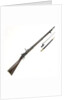 Snider Enfield rifle by Royal Small Arms Factory
